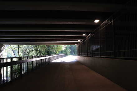 Hard surface trail going under Interstate 5 – low light and noisy